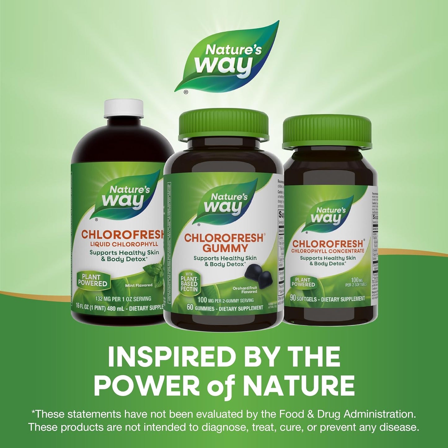 Chlorofresh Chlorophyll Gummies - Supports Healthy Skin & Body Detox, Internal Deodorant - Orchard Fruit Flavor, 60 Gummies