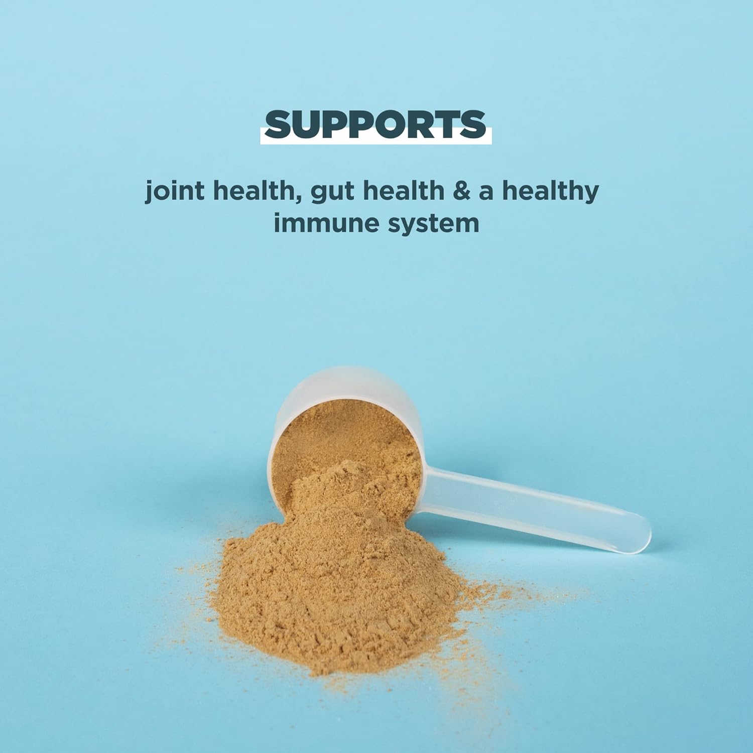 Chocolate Bone Broth Protein Powder - 20g Protein, 20 Servings, Gluten Free, Hydrolyzed Collagen Peptides, Ideal for Protein Shakes