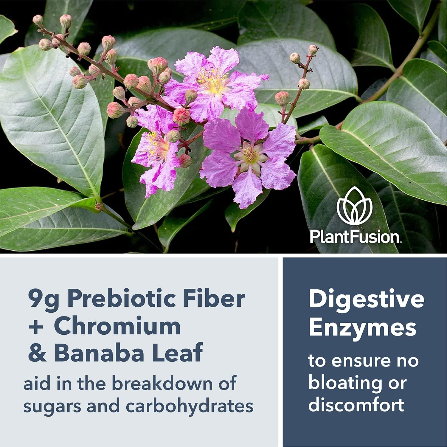 Chocolate Brownie PlantFusion Complete Lean Protein Powder with Prebiotic Fiber & Superfoods - Vegan, Gluten Free, Soy Free - 1 lb