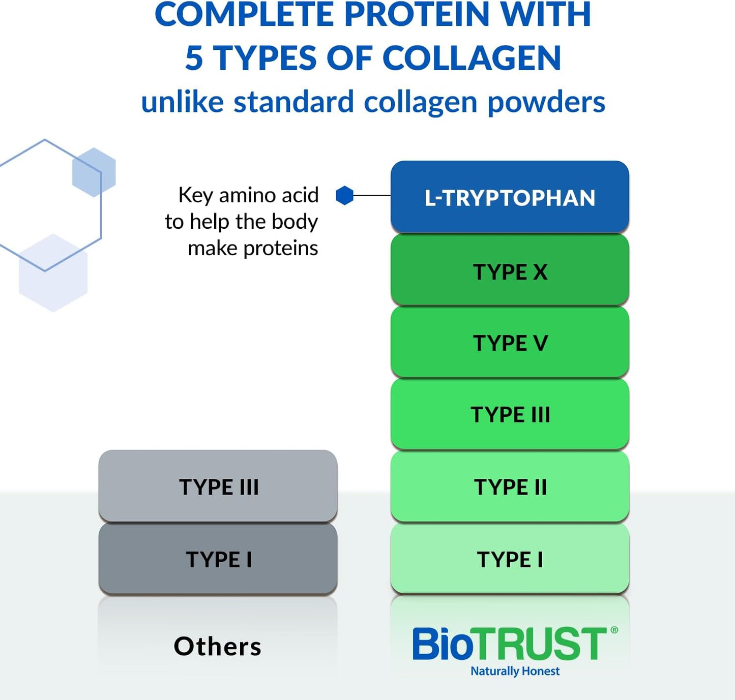 Chocolate Collagen Powder with 5 Types of Collagen for Women & Men - Hydrolyzed Protein from Grass-Fed Sources