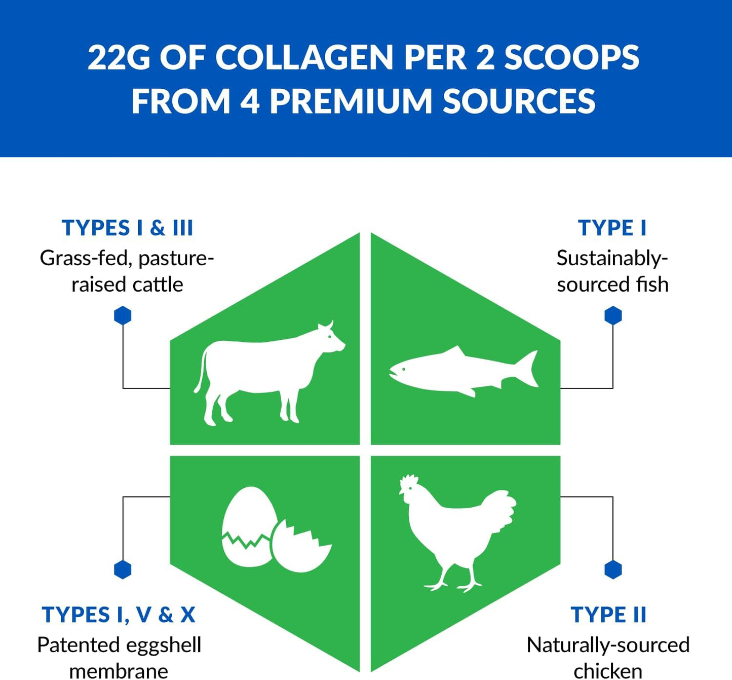 Chocolate Collagen Powder with 5 Types of Collagen for Women & Men - Hydrolyzed Protein from Grass-Fed Sources