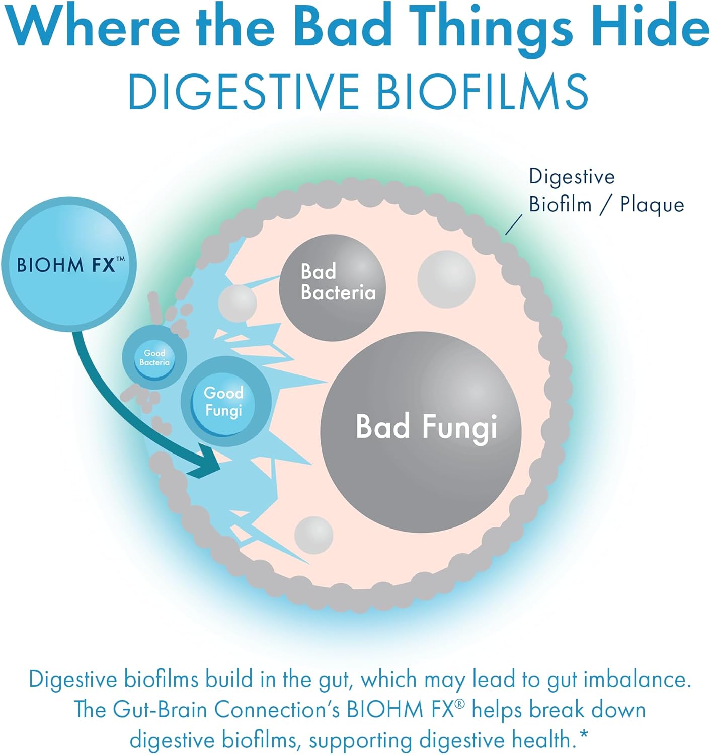 Chocolate Dream BIOHM Gut-Brain Support Supplement, 30 Servings for Focus, Memory, and Stress