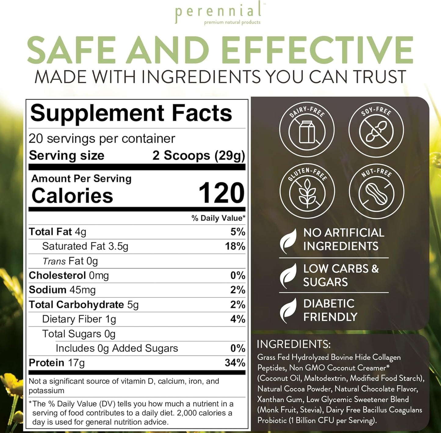 Chocolate Flavor Collagen Protein Powder - Grass-Fed, Dairy-Free, Gluten-Free - 17g Protein per Serving - Skin, Joints, Muscle Recovery - 20.5 oz