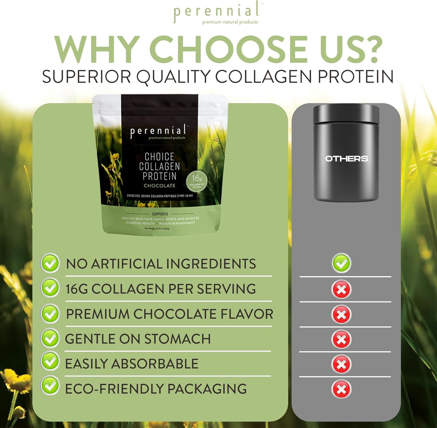 Chocolate Flavor Collagen Protein Powder - Grass-Fed, Dairy-Free, Gluten-Free - 17g Protein per Serving - Skin, Joints, Muscle Recovery - 20.5 oz