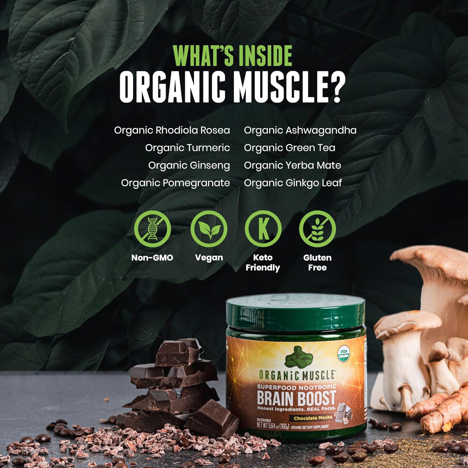 Chocolate Flavored Organic Nootropic Blend for Focus, Memory, and Productivity - Vegan Superfood Supplement with Ashwagandha, Ginkgo, and Ginseng - 20 Servings
