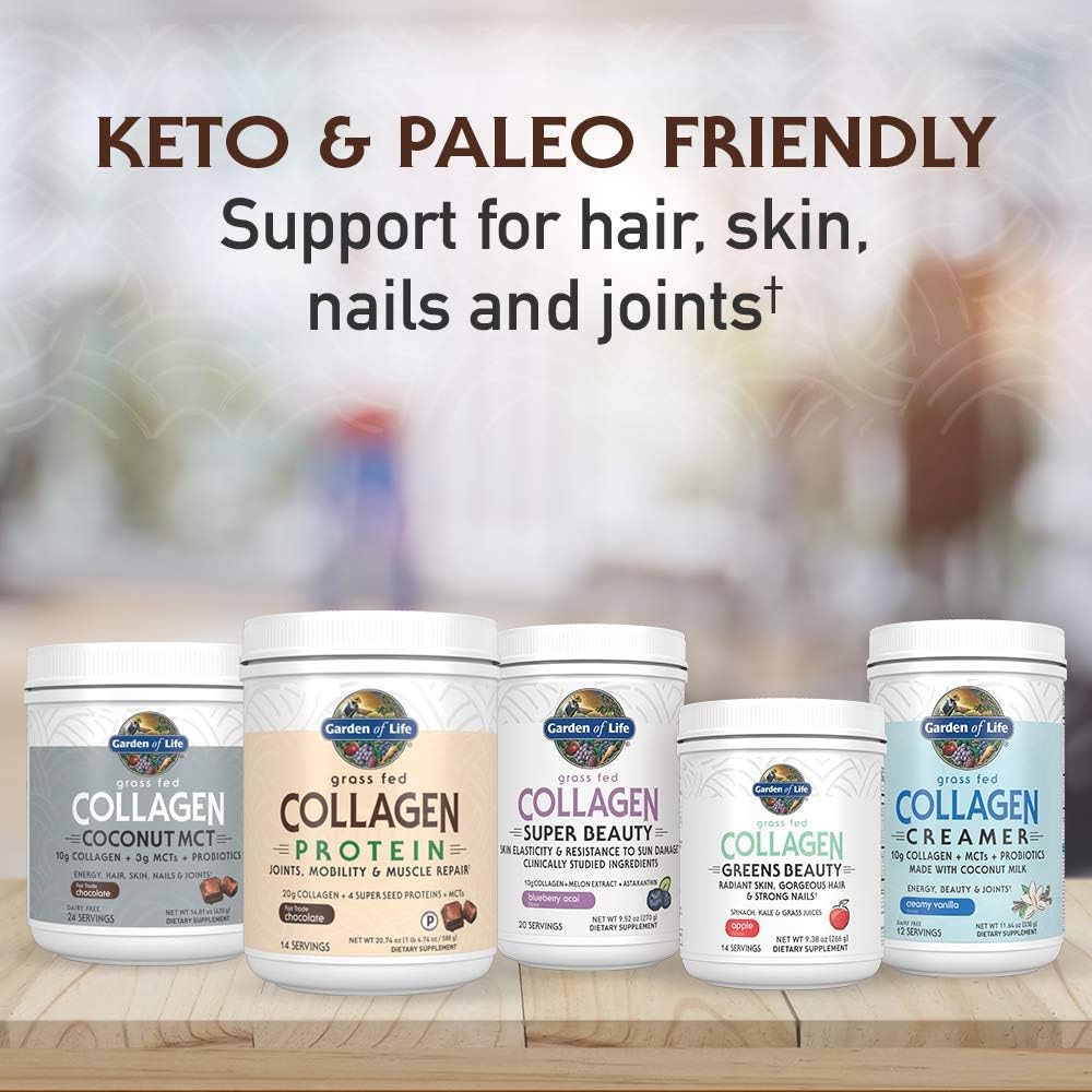 Chocolate Grass Fed Collagen Coconut MCT Powder - 24 Servings for Energy Hair Skin Nails Joints - Probiotics & Collagen Protein Supplement