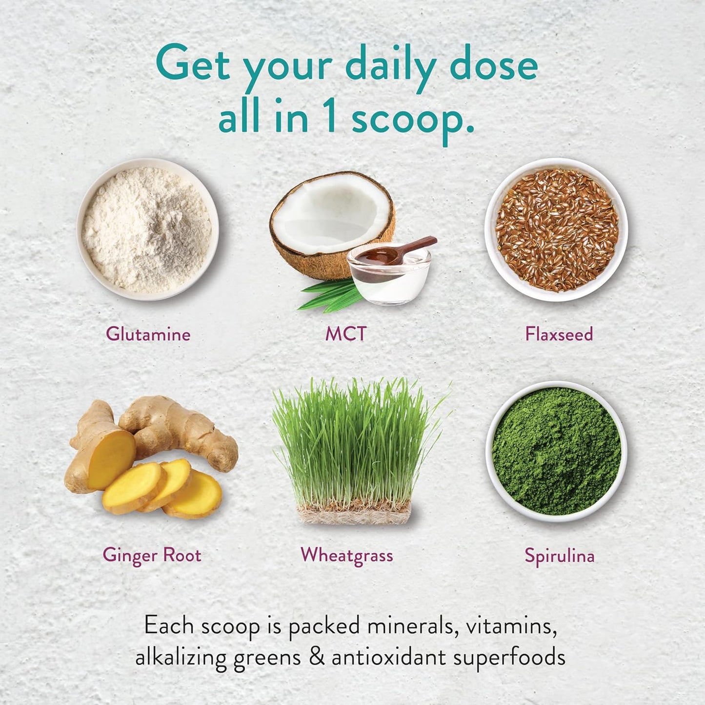 Chocolate Keto Green Protein Shake - Vegan Powder Drink, Supports Gut Health, Natural Detox (40 Servings)