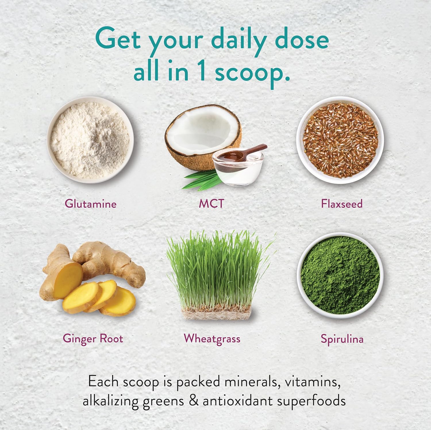 Chocolate Keto Green Protein Shake - Vegan Powder Drink, Supports Gut Health, Natural Detox (40 Servings)