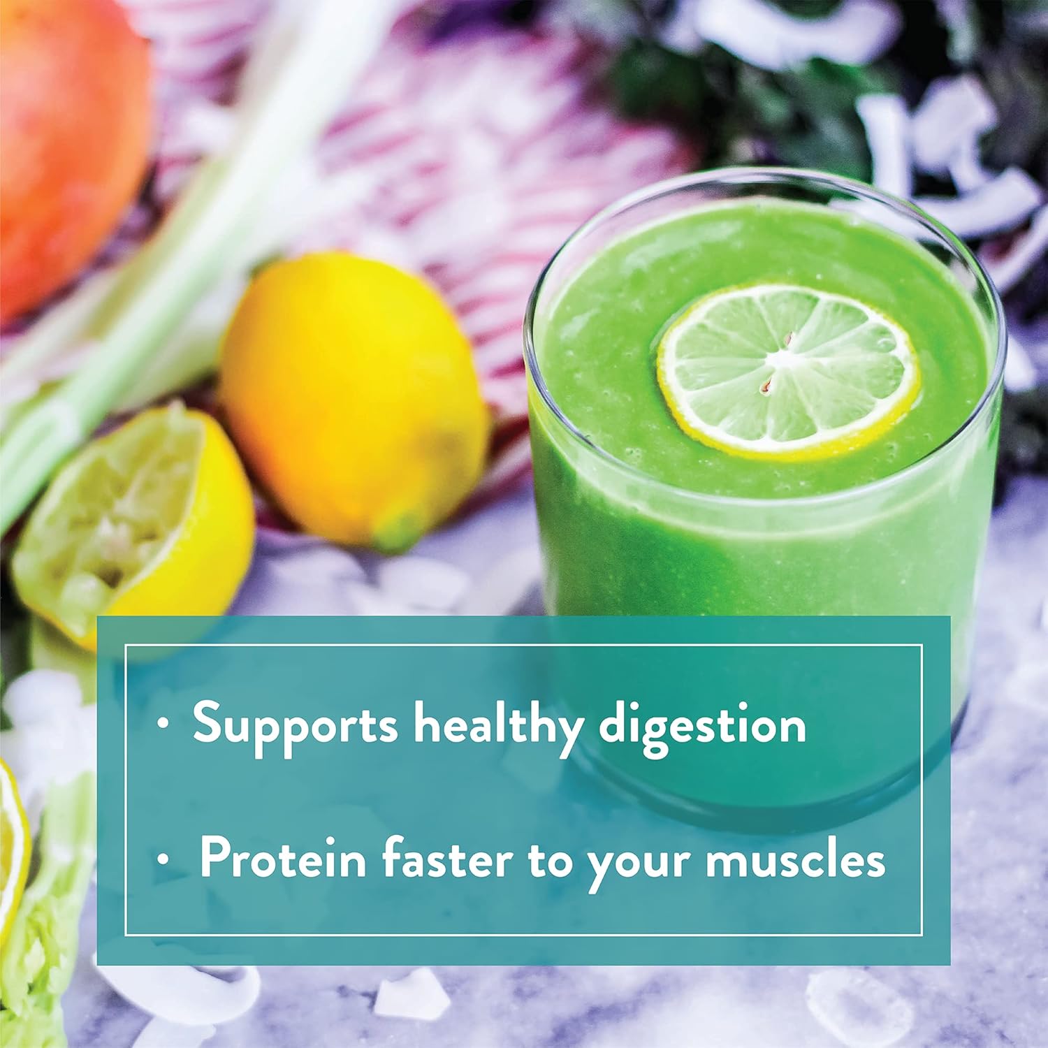 Chocolate Keto Green Protein Shake - Vegan Powder Drink, Supports Gut Health, Natural Detox (40 Servings)