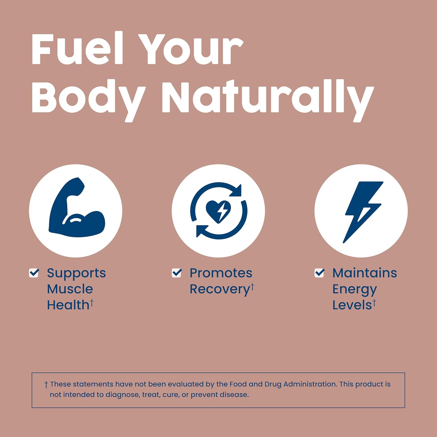 Chocolate NativePath Complete Protein Powder - 30 Servings