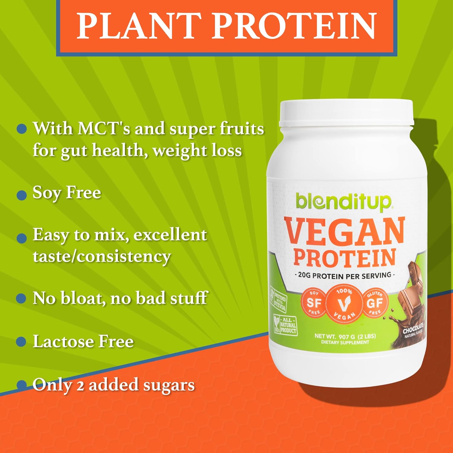 Chocolate Vegan Plant Protein Powder | Non GMO & Gluten Free | 20g Protein, 28 Servings | Low Carb BlendItUp