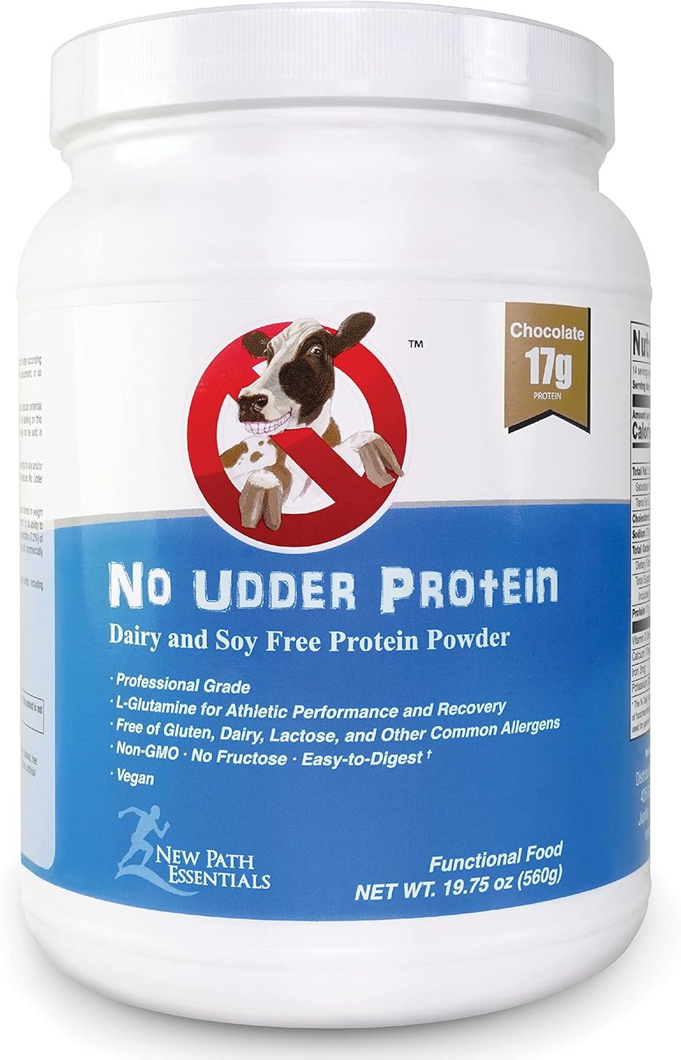 Chocolate Vegan Protein Powder | Dairy-Free Plant-Based Protein | 17g Protein | 1lb Container