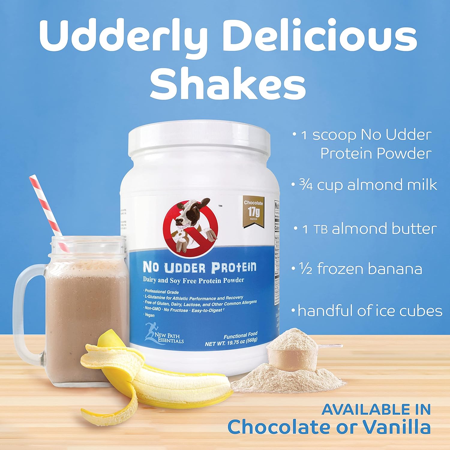 Chocolate Vegan Protein Powder | Dairy-Free Plant-Based Protein | 17g Protein | 1lb Container