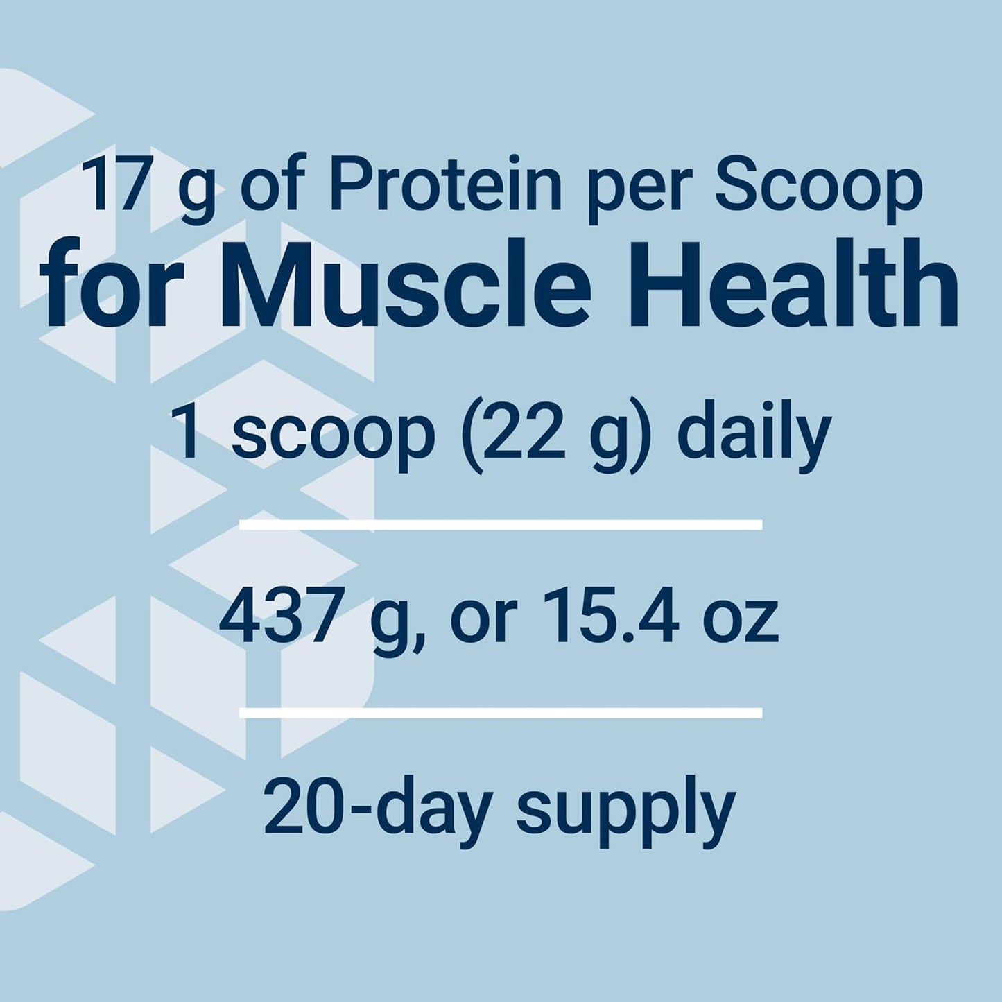 Chocolate Whey Protein Isolate: Boost Muscle Growth & Immune Health, No Sugar, Gluten Free, Non-GMO - 437g, 20 Servings