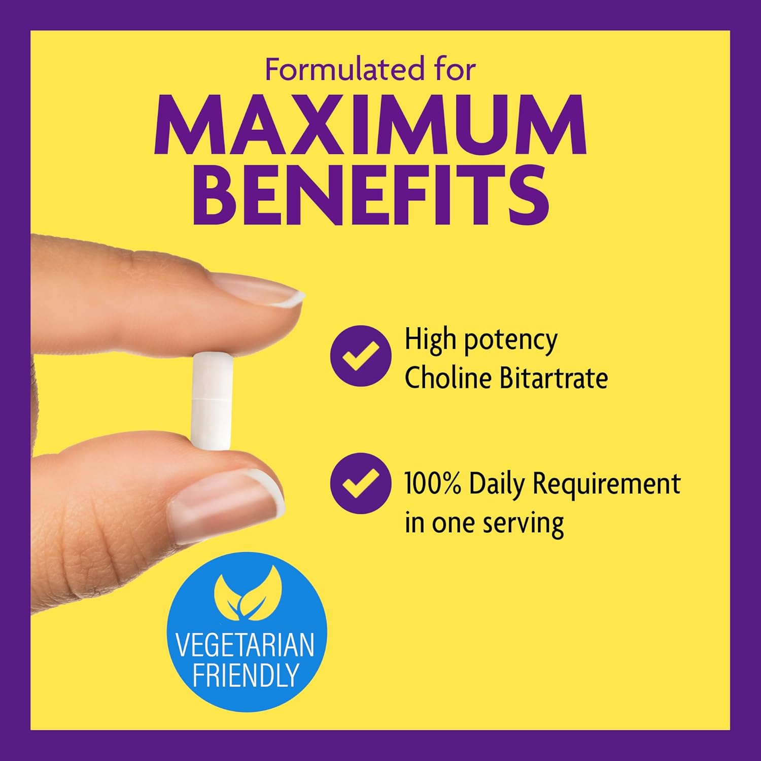 Choline Bitartrate & Multi Strain Probiotic Bundle for Memory, Mood, & Brain Health Boost - 550mg Choline, 100 Capsules + 60 Probiotic Capsules.