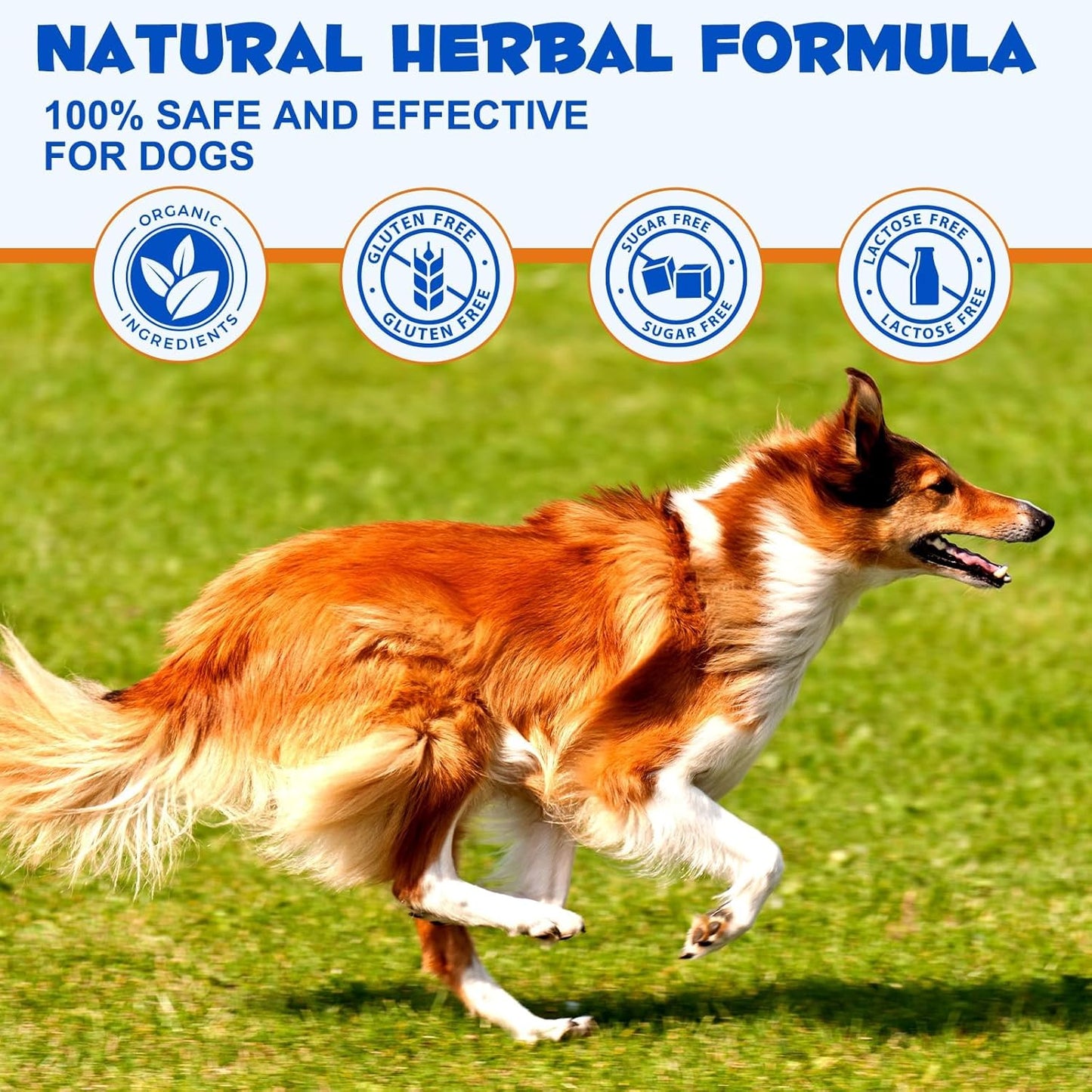 Chondroitin & Glucosamine HCl Dog Joint Supplement for Pain Relief & Inflammation in Dogs of All Ages