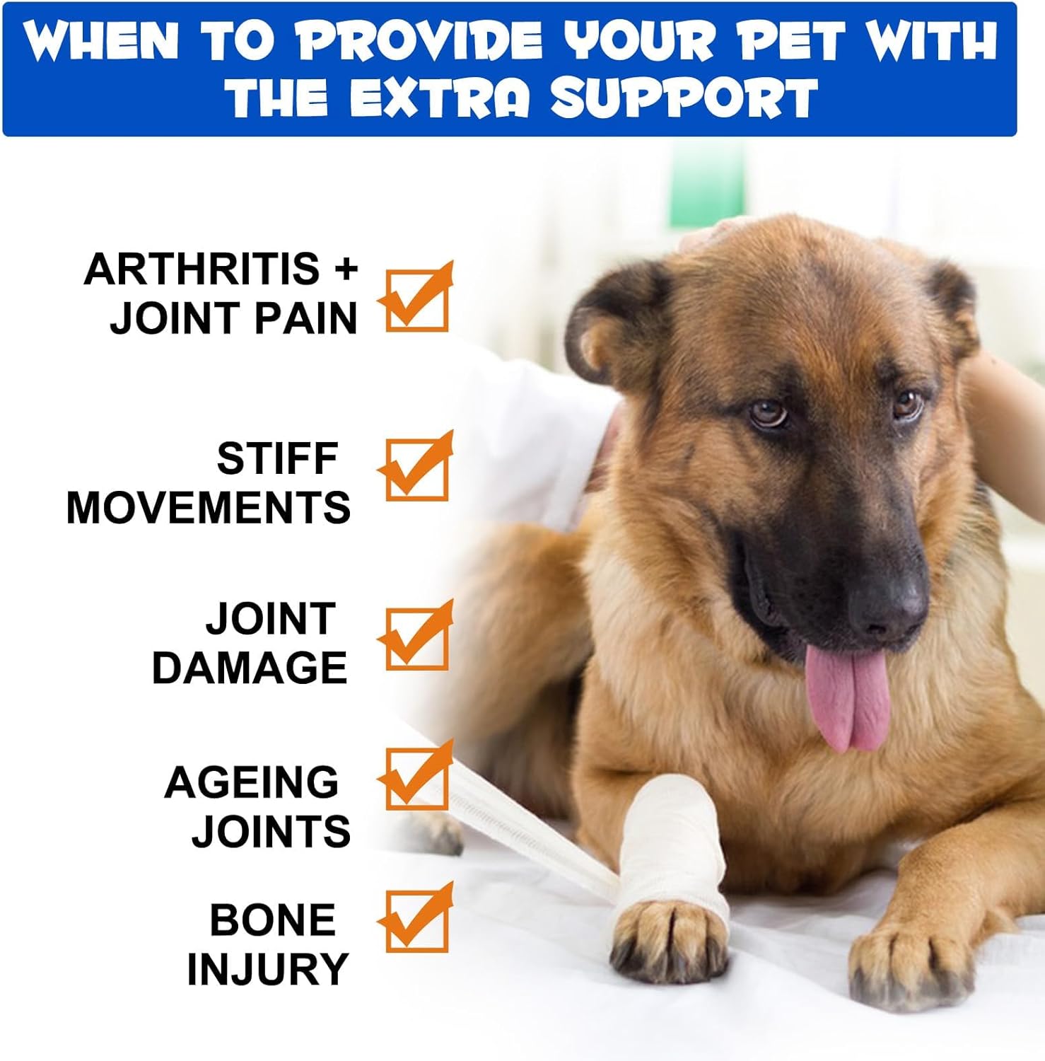 Chondroitin & Glucosamine HCl Dog Joint Supplement for Pain Relief & Inflammation in Dogs of All Ages