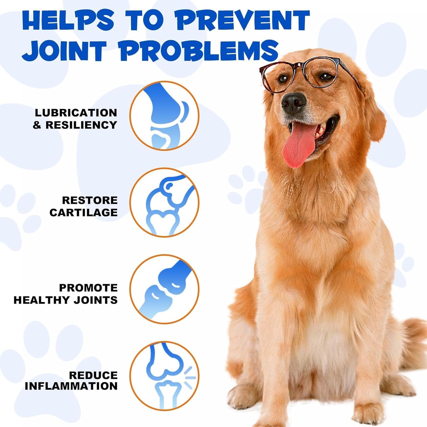 Chondroitin & Glucosamine HCl Dog Joint Supplement for Pain Relief & Inflammation in Dogs of All Ages