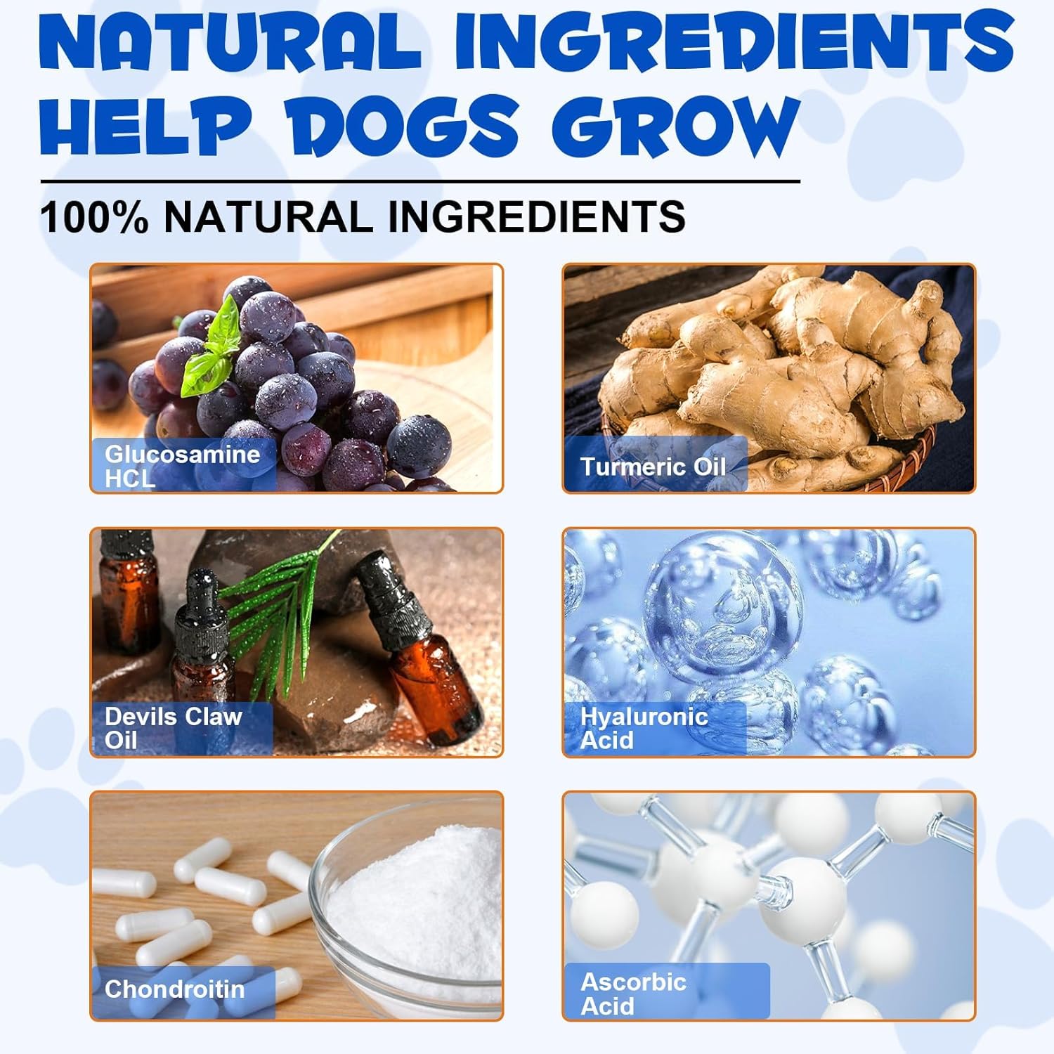 Chondroitin & Glucosamine HCl Dog Joint Supplement for Pain Relief & Inflammation in Dogs of All Ages