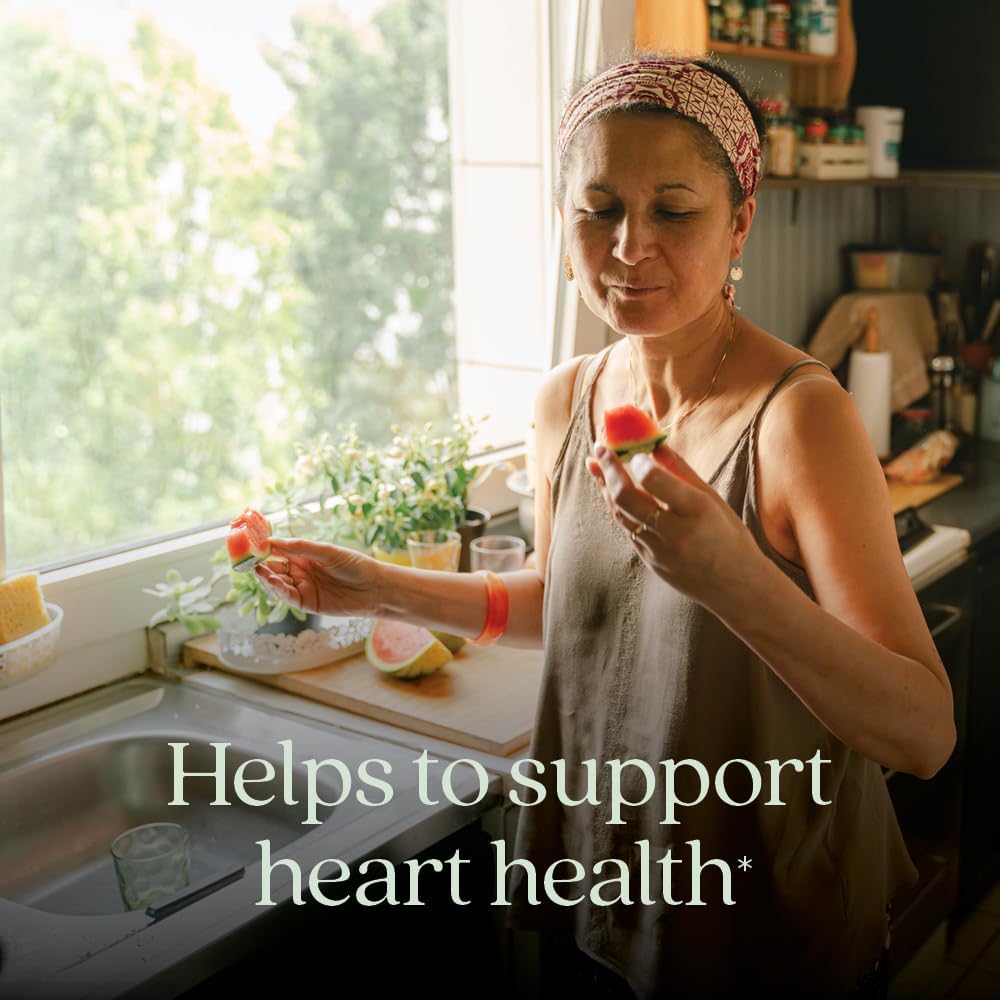 Cinnamon Force Antioxidant Supplement with Non-GMO Ingredients - 30 ct Vegetarian Capsules by New Chapter