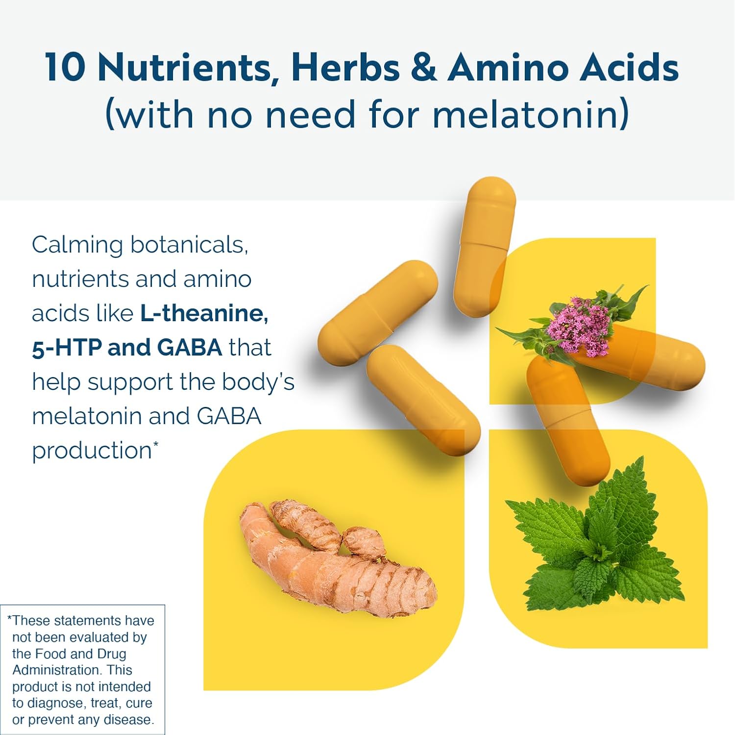 Circadian PM Supplement for Nervous System Health & Peaceful Sleep - L Theanine, 5 HTP, Valerian Root, GABA - 90 Capsules