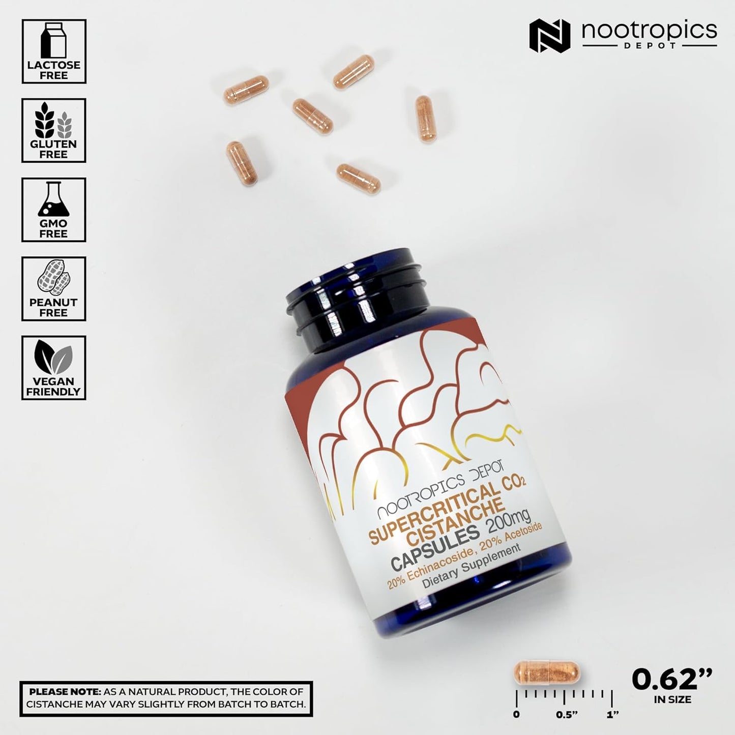 Cistanche Supercritical CO2 Extract Capsules | 20% Echinacoside & Verbascoside | 60 Count by Nootropics Depot