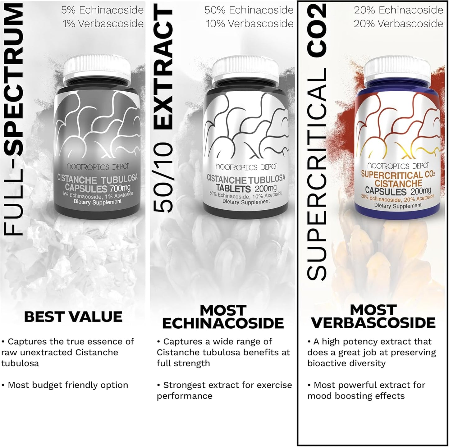 Cistanche Supercritical CO2 Extract Capsules | 20% Echinacoside & Verbascoside | 60 Count by Nootropics Depot
