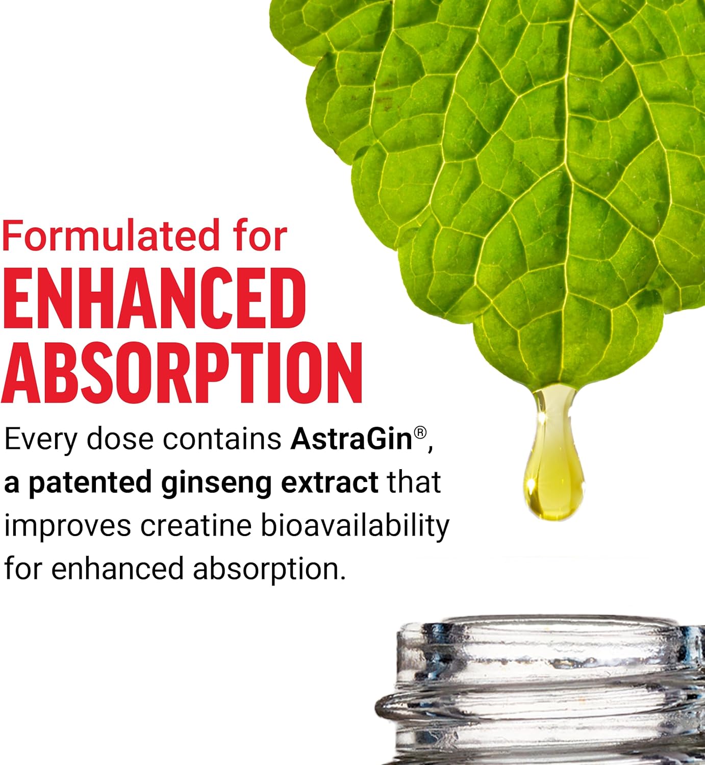 Clinically Studied Force Factor Creatine Gummies - 5g Creatine Monohydrate for Muscle Gain, Strength, Recovery - Assorted Fruit Flavors, 30 Servings