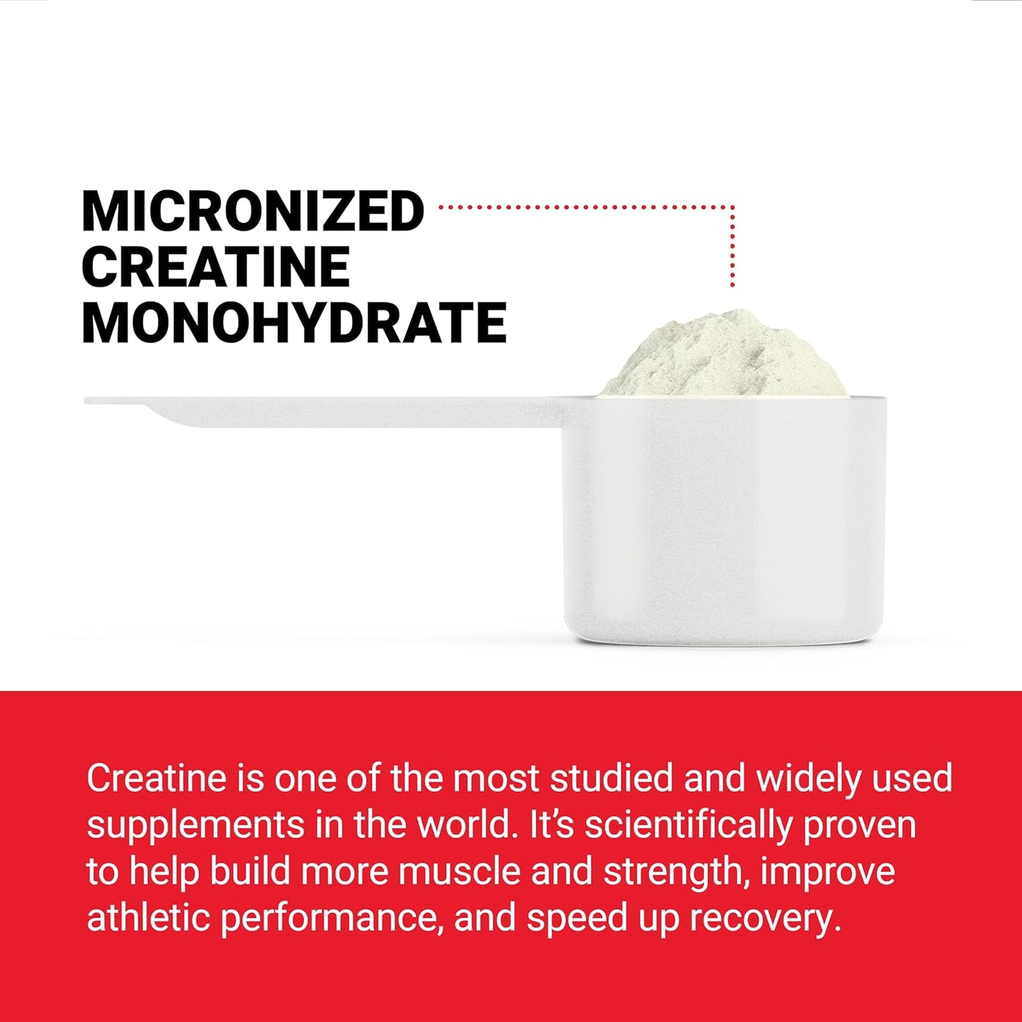 Clinically Studied Micronized Creatine Monohydrate Powder for Muscle Gain and Strength, 5g Dose, Unflavored - 60 Servings