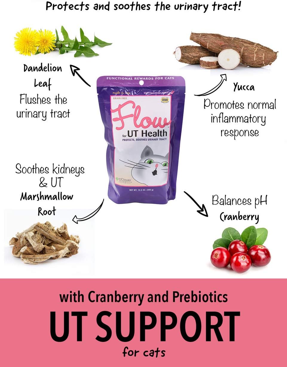 Clover Flow Soft Chews for Cat UT Health Support - Natural Ingredients, Healthy Urinary Tract - 2.1oz