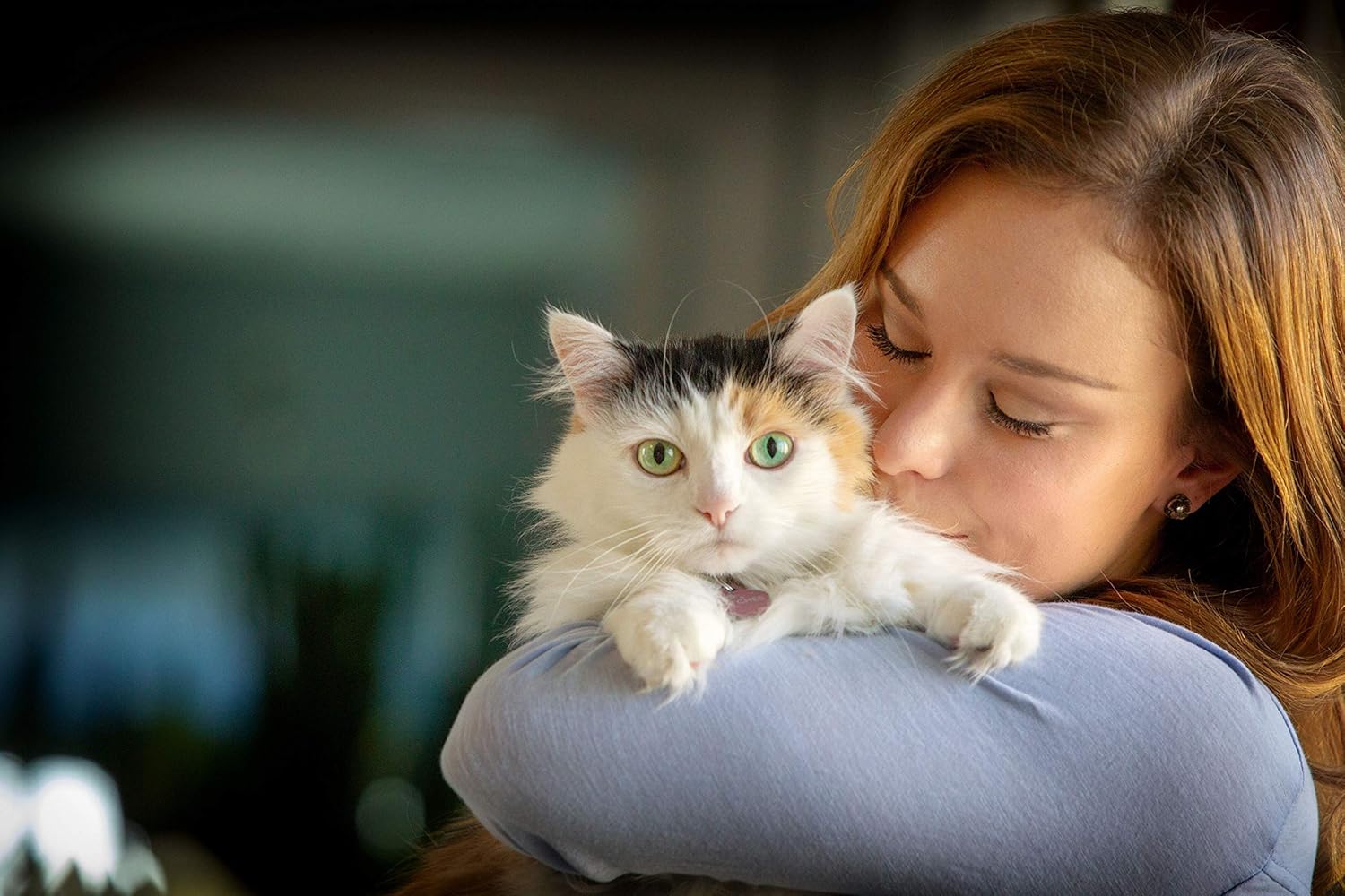 Clover Spry Cat Eye & Immune Support Treat with L-Lysine, Prebiotics & Antioxidants for Respiratory Health