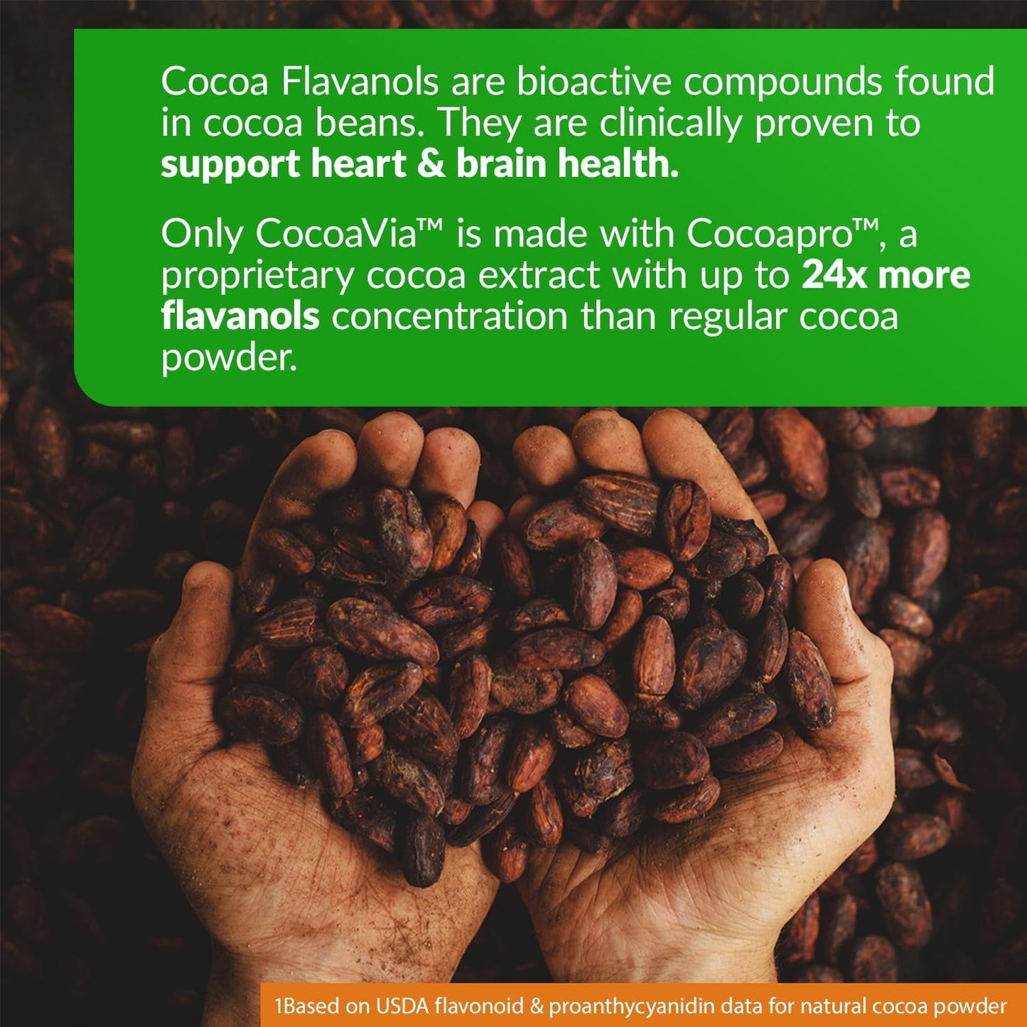 CocoaVia Heart & Brain Supplement: 30 Day Supply, Memory & Circulation Boost, Cocoa Flavanol Extract, Nitric Oxide, Energy & Oxygen Support - 60 Capsules, Plant-Based, Gluten-Free, Vegan