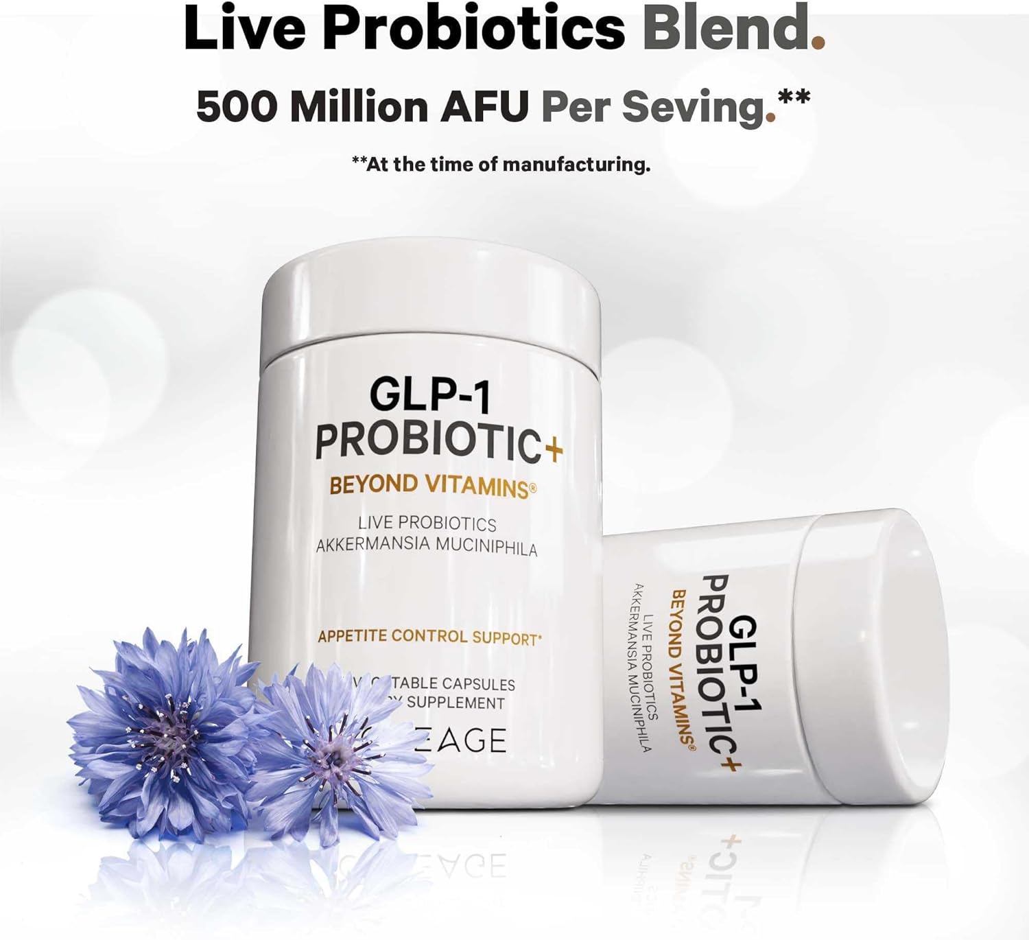 Codeage GLP-1 Probiotic+ - 500 Million AFU, 3-Month Supply - 90 Capsules - Live Probiotics with Akkermansia, Clostridium, Bifidobacterium, Chicory Inulin, Prebiotics & Postbiotics