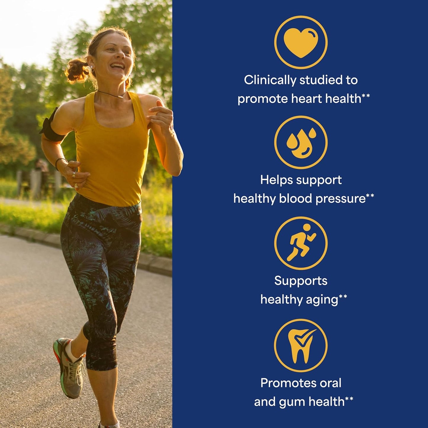 Coenzyme CoQ10 100mg Supplement for Heart Health & Aging Support - 240 Softgels