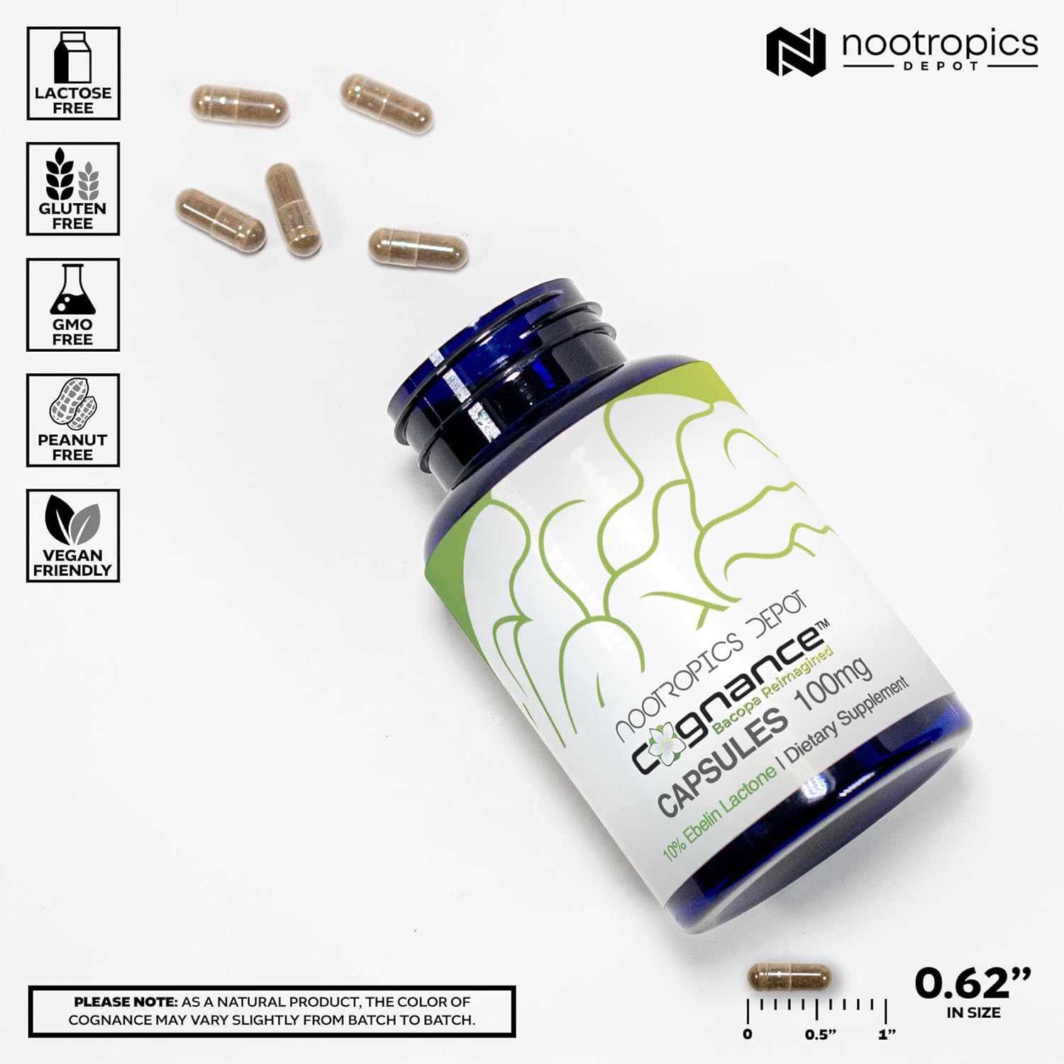 Cognance Enhanced Bacopa Capsules | 100mg | Bacopa Monnieri | Mood & Memory Support | 180 Capsules