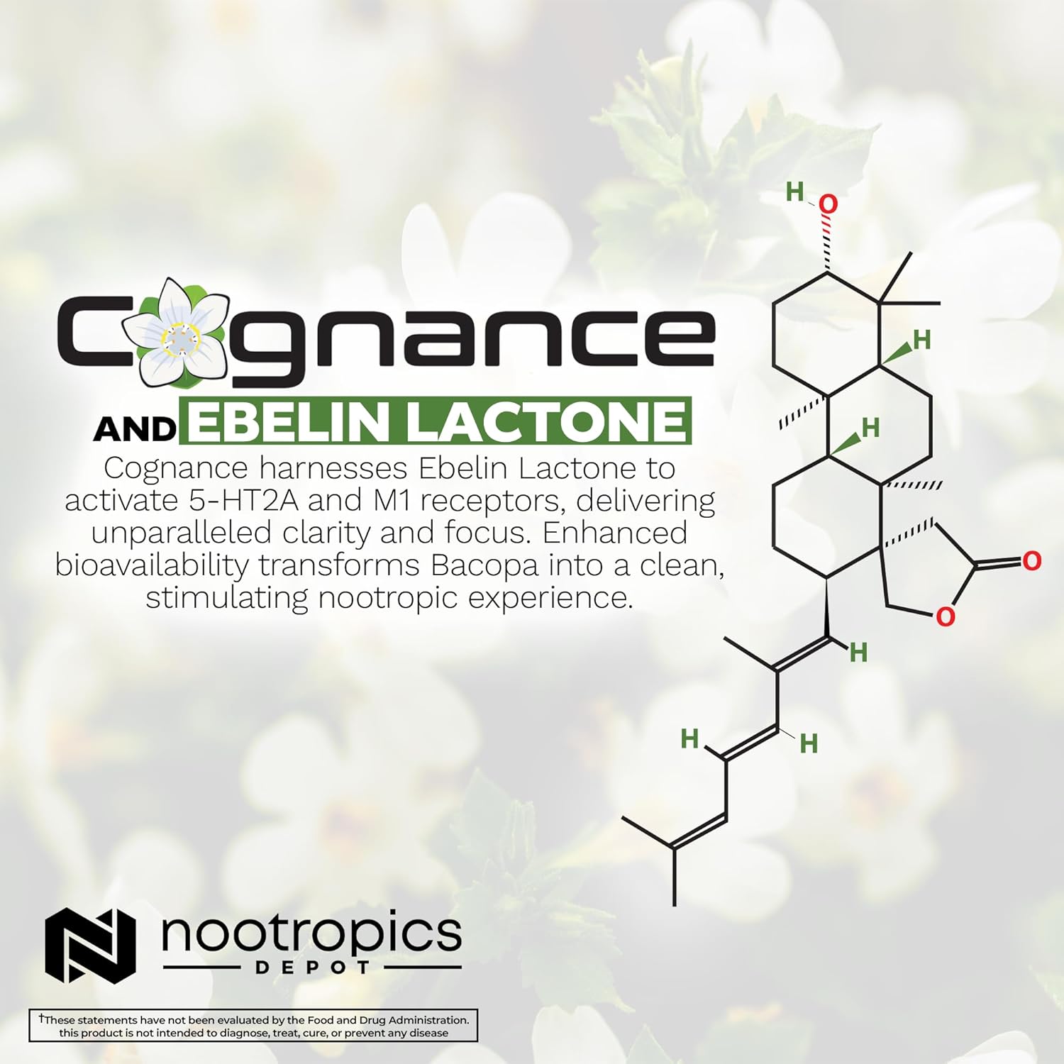 Cognance Enhanced Bacopa Capsules | 100mg | Bacopa Monnieri | Mood & Memory Support | 180 Capsules