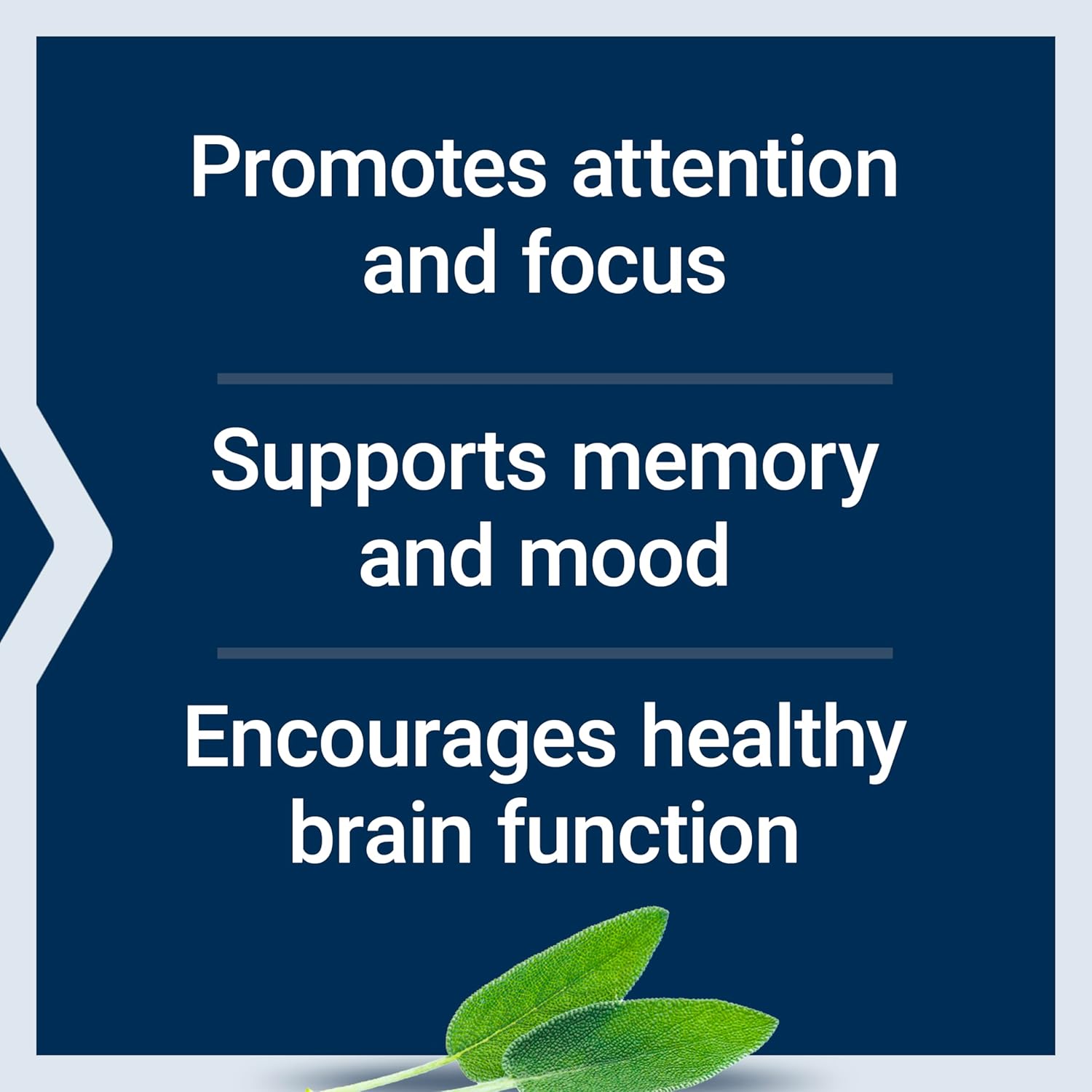 Cognitex Elite Pregnenolone Brain Health Supplement with Phosphatidylserine, Ashwagandha, Sage Extract, and More - 60 Vegetarian Tablets for Memory, Focus, and Cognition