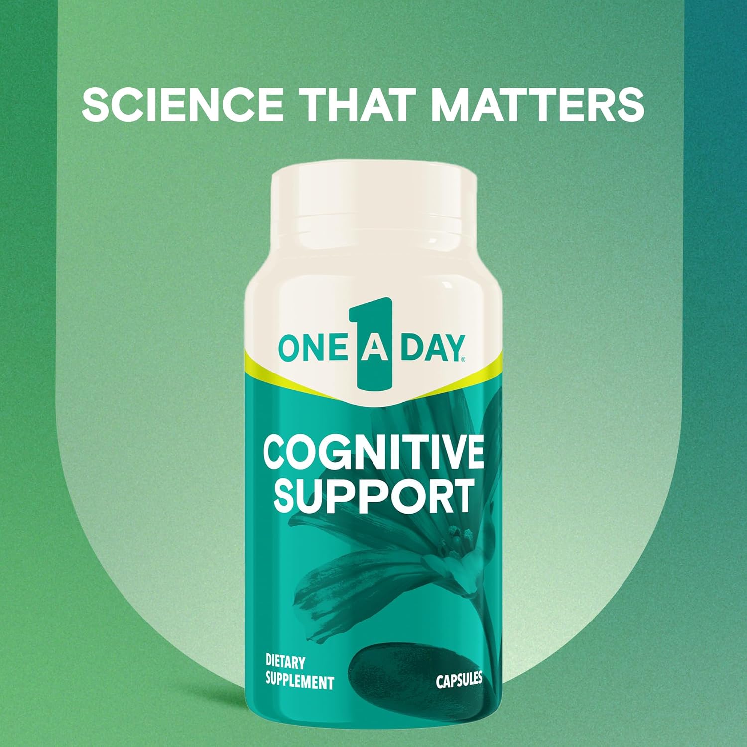 Cognitive Performance Support Supplement with Bacopa, Rhodiola & Holy Basil for Men and Women - 30 Capsules