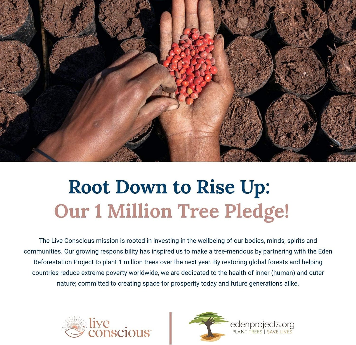 Collagen Peptides & Beyond Greens for Hair, Skin, Nails, Joints - Immune Boost, Detox, Energy