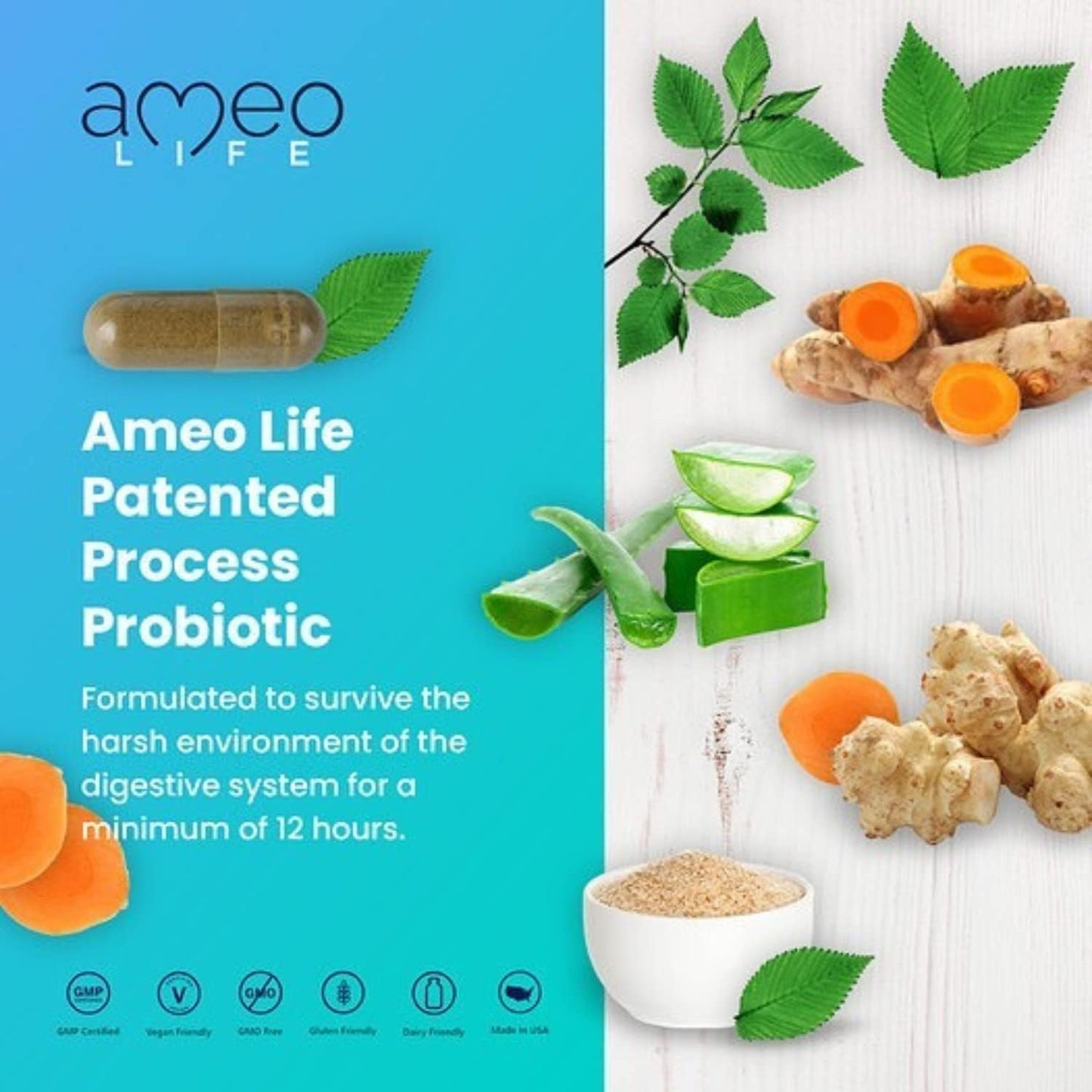 Colloidal Silver Liquid & Digestive Probiotics Bundle by Ameo Life - Boost Overall Health and Immunity with this Powerful Combination