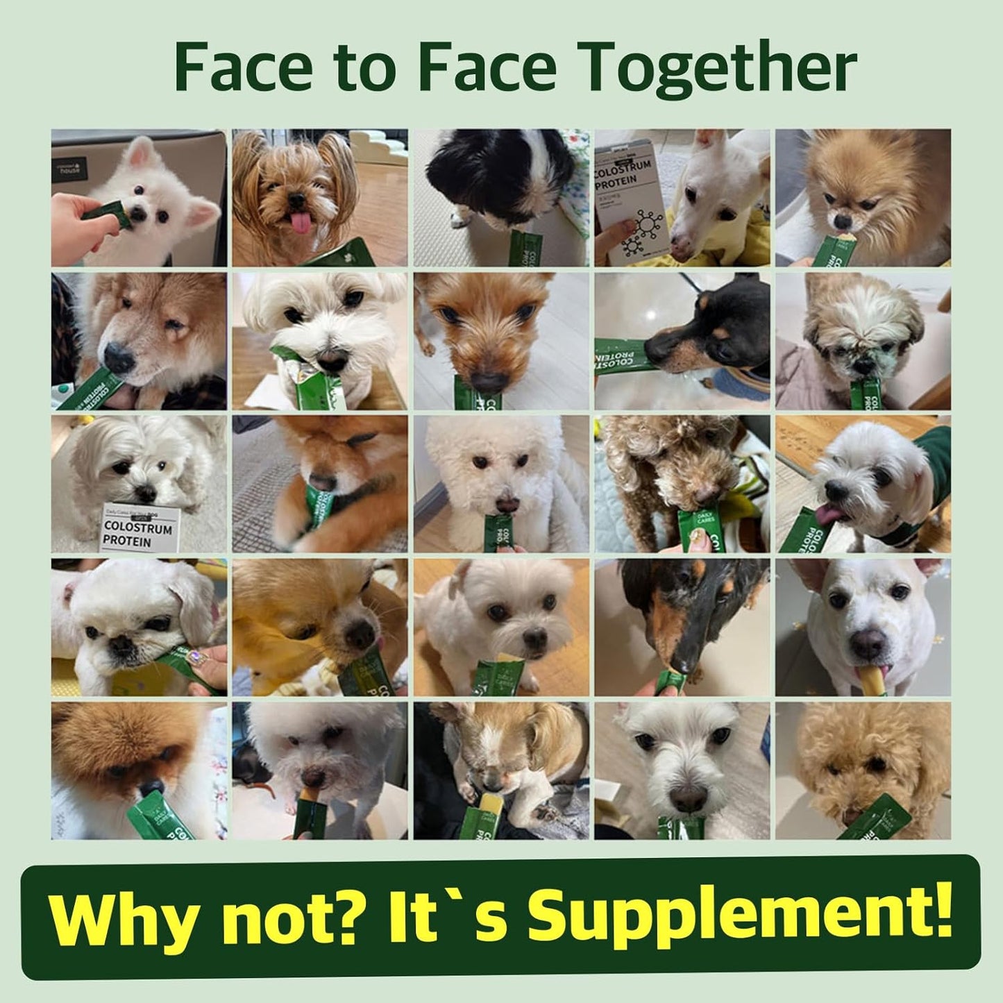 Colostrum Protein for Dogs and Puppies - Weight Gain and Immune System Support Supplement with Whey Protein and Goat Milk - 30 Tubes