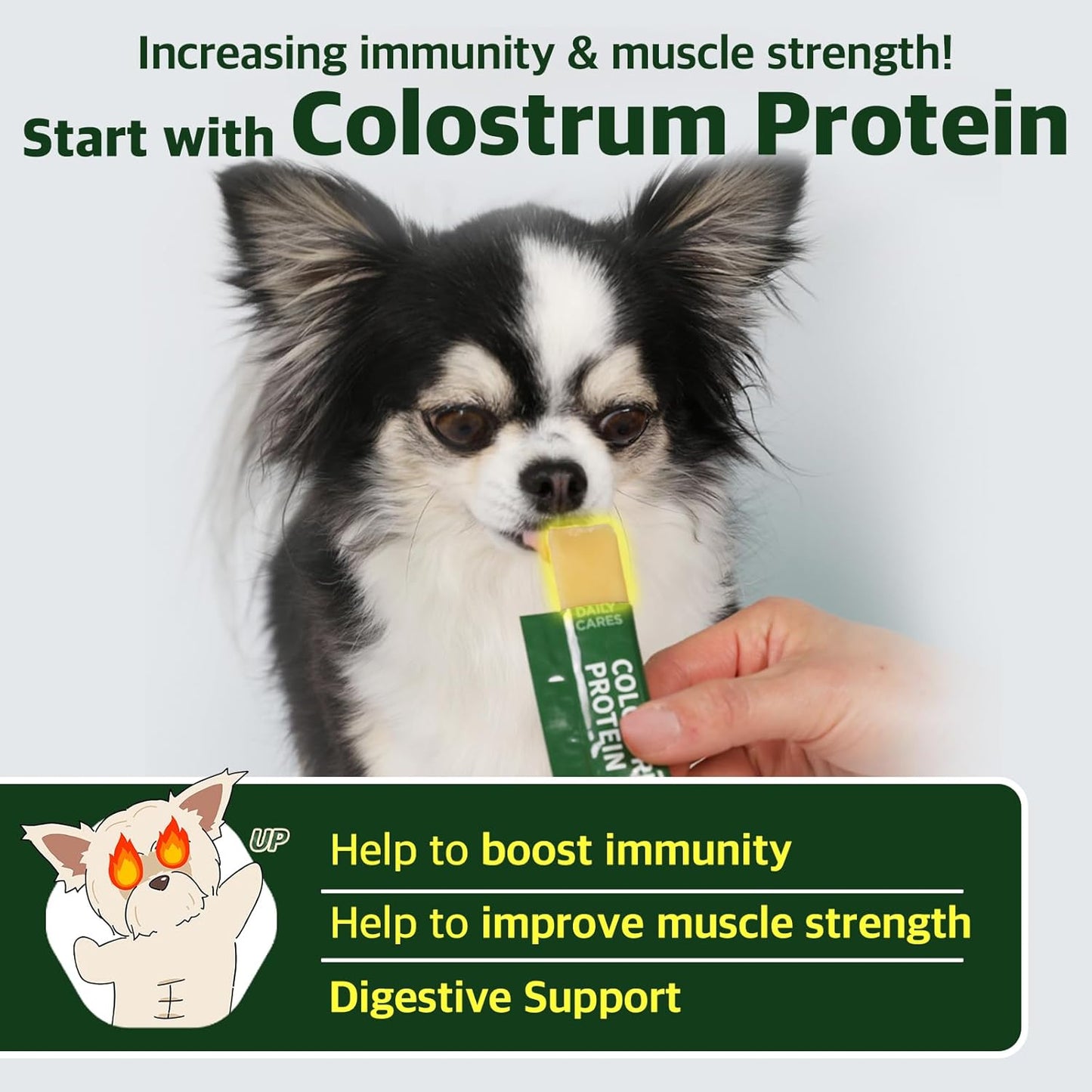 Colostrum Protein for Dogs and Puppies - Weight Gain and Immune System Support Supplement with Whey Protein and Goat Milk - 30 Tubes