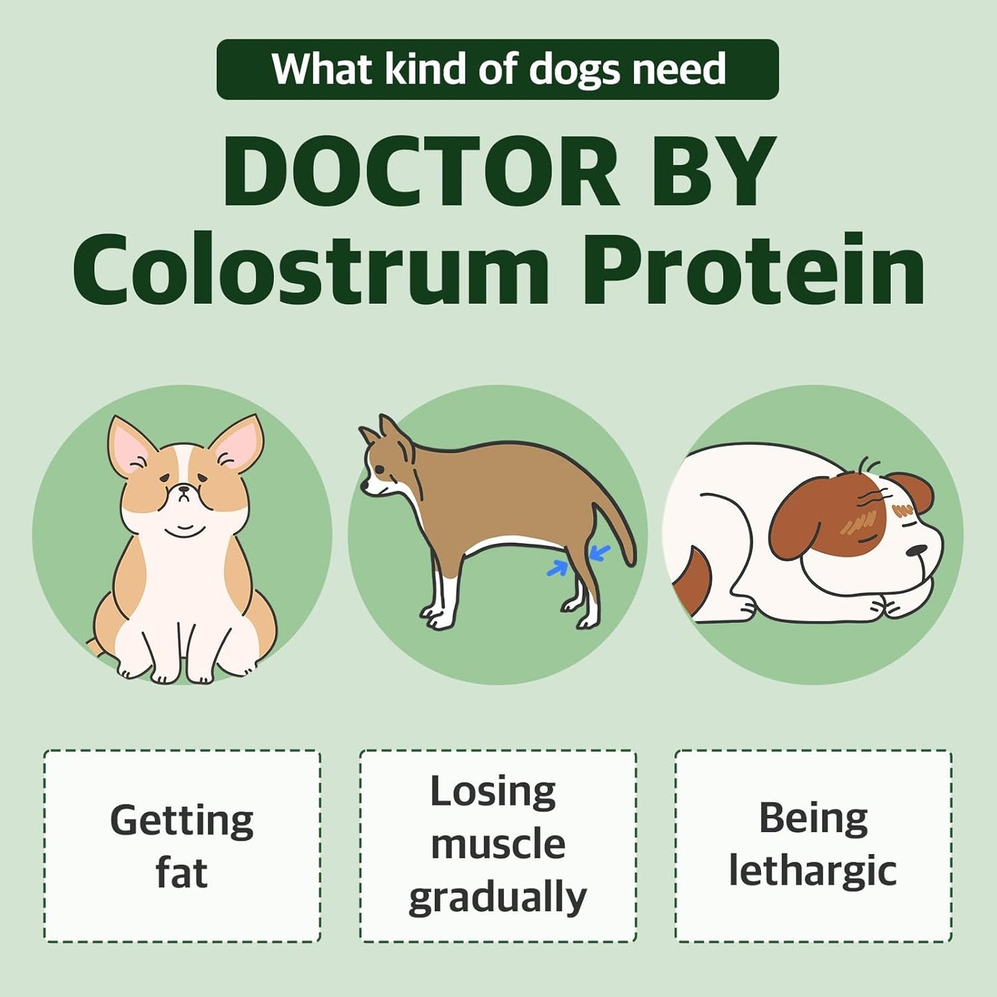 Colostrum Protein for Dogs and Puppies - Weight Gain and Immune System Support Supplement with Whey Protein and Goat Milk - 30 Tubes