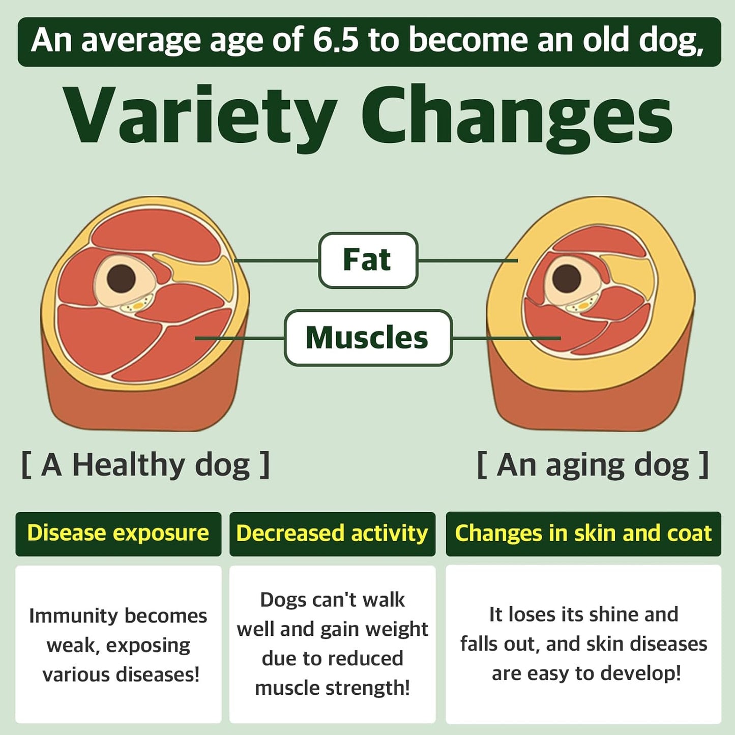 Colostrum Protein for Dogs and Puppies - Weight Gain and Immune System Support Supplement with Whey Protein and Goat Milk - 30 Tubes