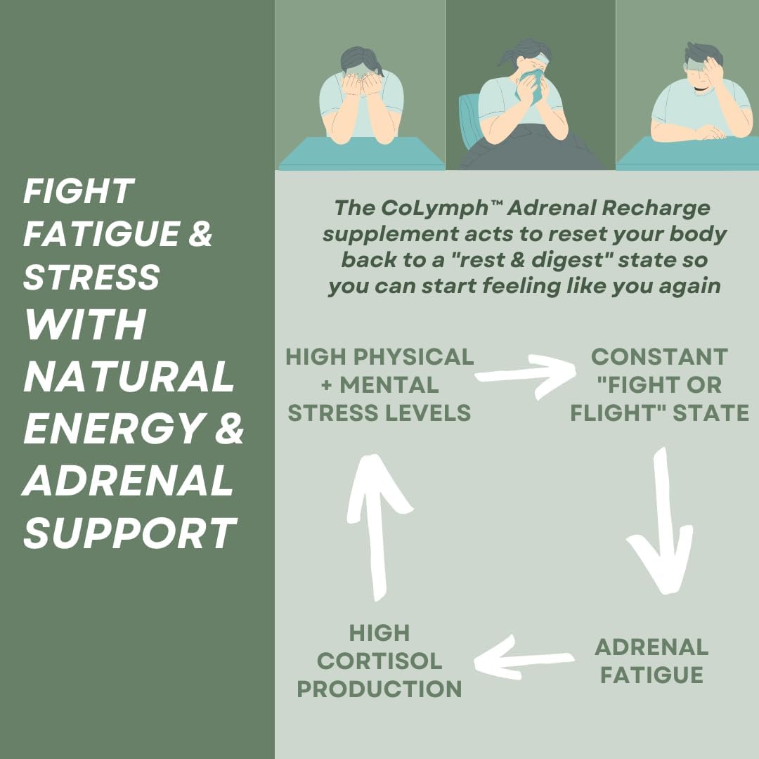 CoLymph® Adrenal Recharge: Vegan Adaptogen Stress Support for Daily Energy & Healthy Cortisol