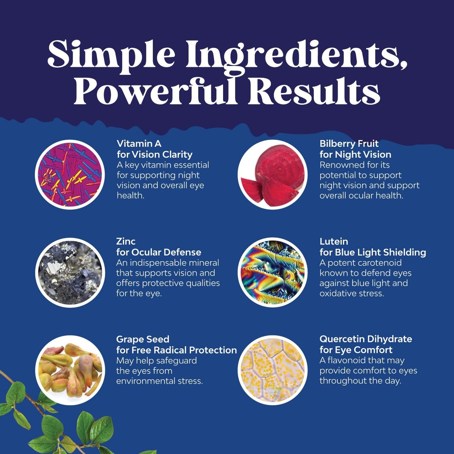 Complete Eye Health & Calcium Gummies Bundle for Adults: Vision, Bone Health & Immune Support - Natures Craft