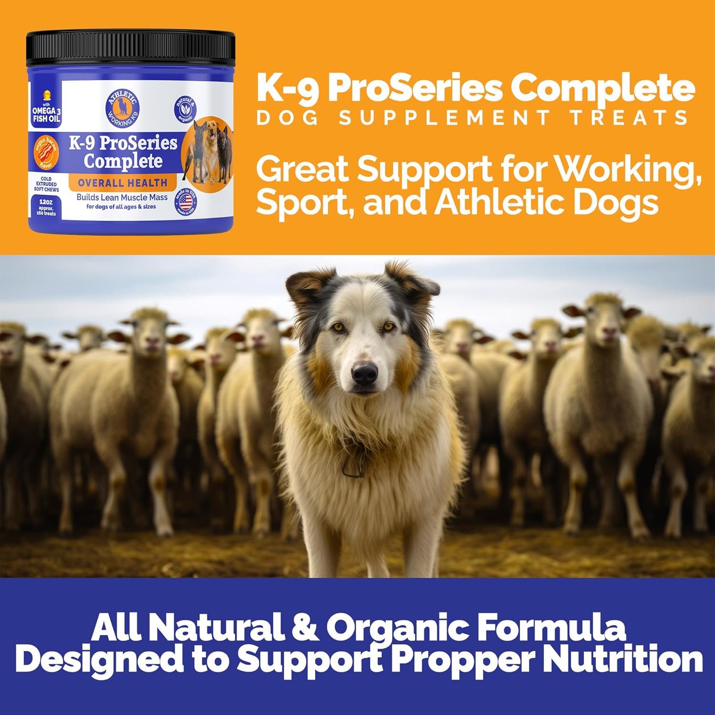 Complete Health Support for your Canine Companion with Generic K-9 ProSeries