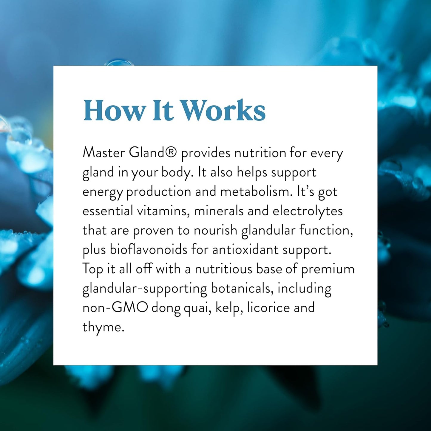 Complete Nutritional Support for Body Glands - Nature's Sunshine Master Gland 120 Capsules