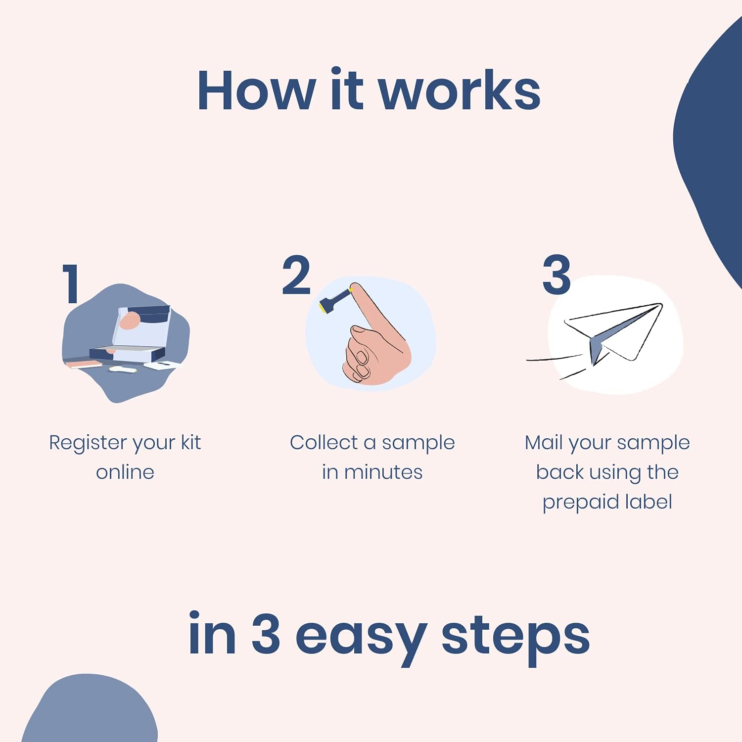 Comprehensive Paloma At-Home Thyroid Test Kit | Includes TSH, Free T3, Free T4, TPO Antibodies | Easy Finger Prick | Fast Results | Expert-Approved for Hypothyroidism