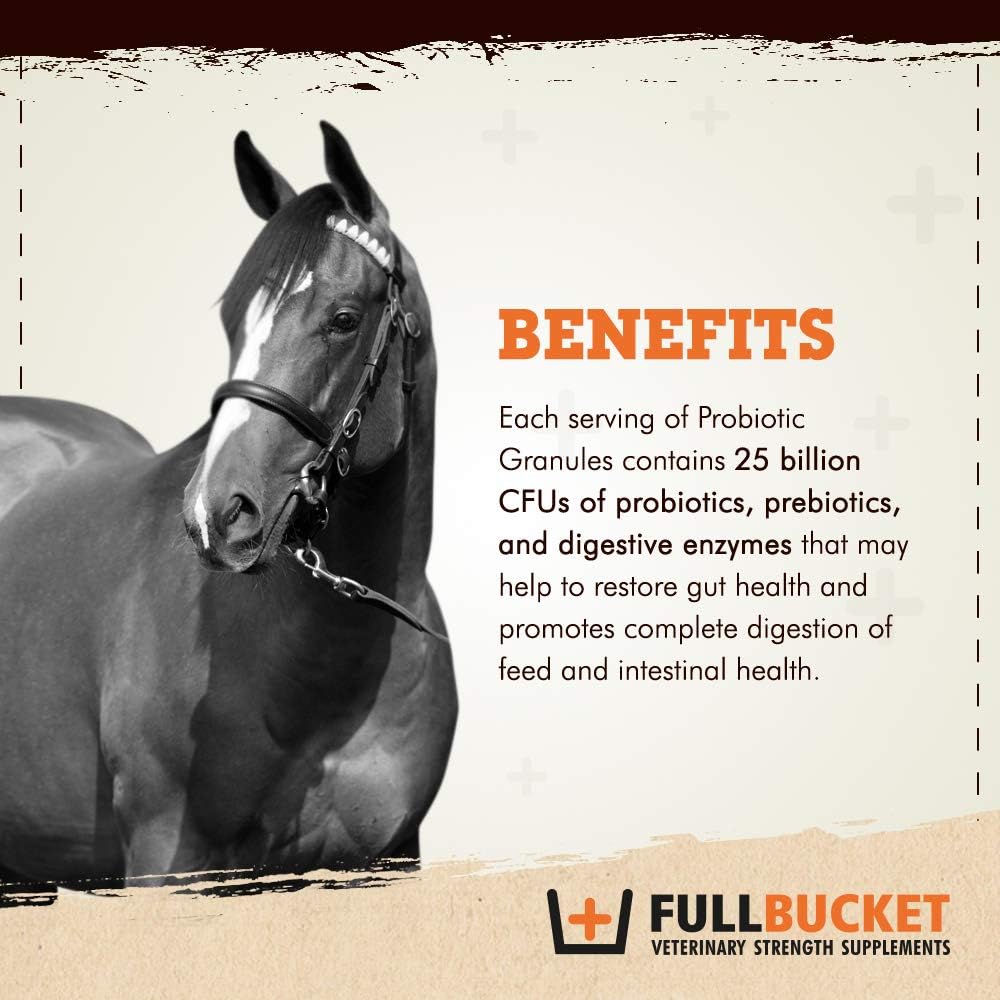 Concentrated Equine Probiotic Granules with Saccharomyces boulardii - 30 Servings, 25 Billion CFUs